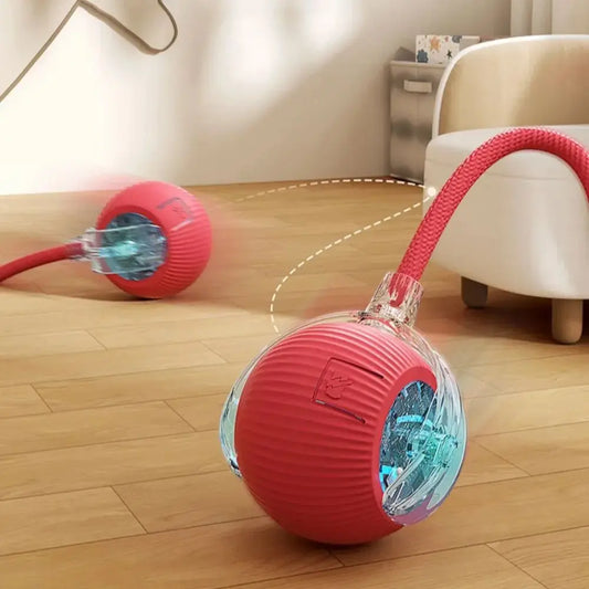 Royal Smart Rolling Cat Toy – Tail Ball & Rechargeable Fun