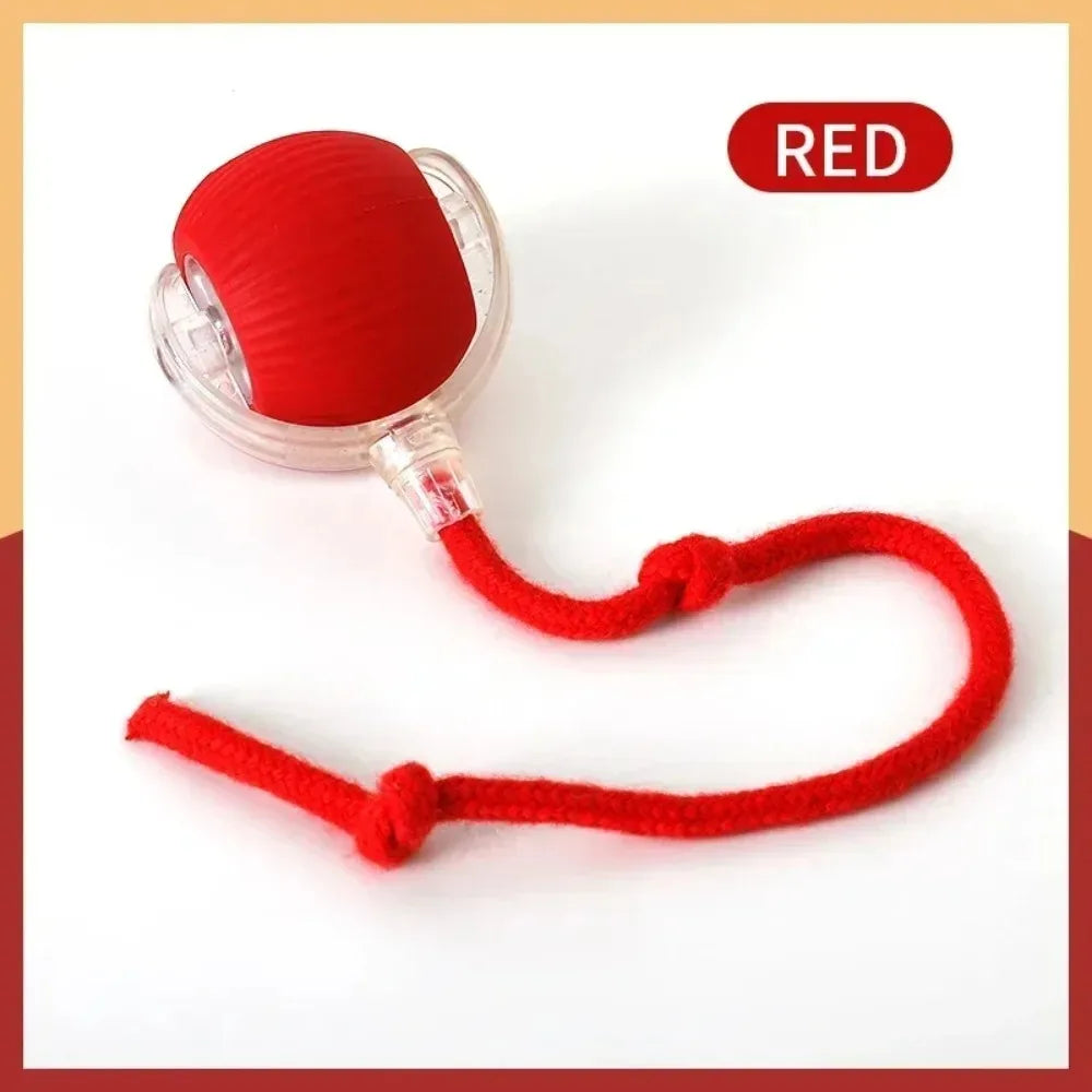 Royal Smart Rolling Cat Toy – Tail Ball & Rechargeable Fun