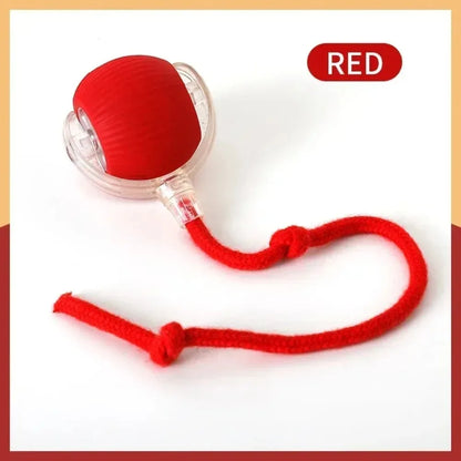 Royal Smart Rolling Cat Toy – Tail Ball & Rechargeable Fun