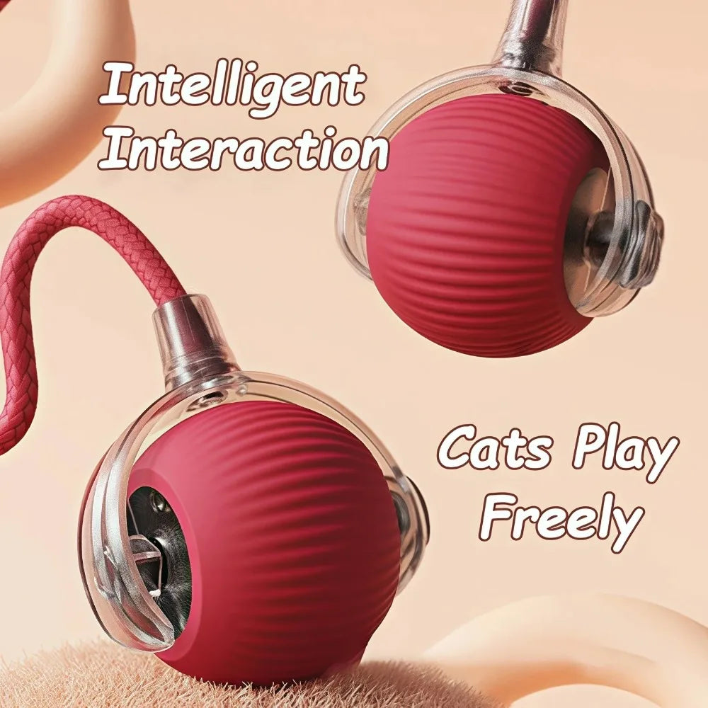 Royal Smart Rolling Cat Toy – Tail Ball & Rechargeable Fun