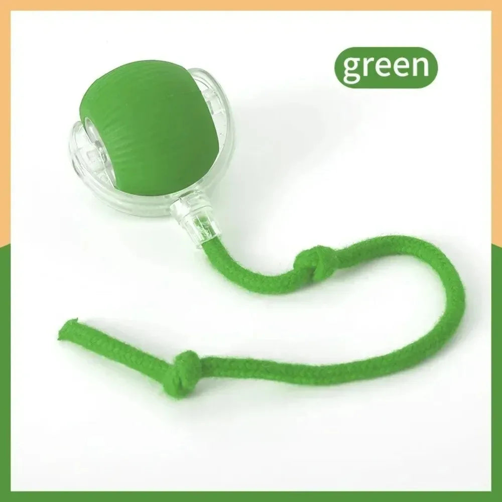 Royal Smart Rolling Cat Toy – Tail Ball & Rechargeable Fun