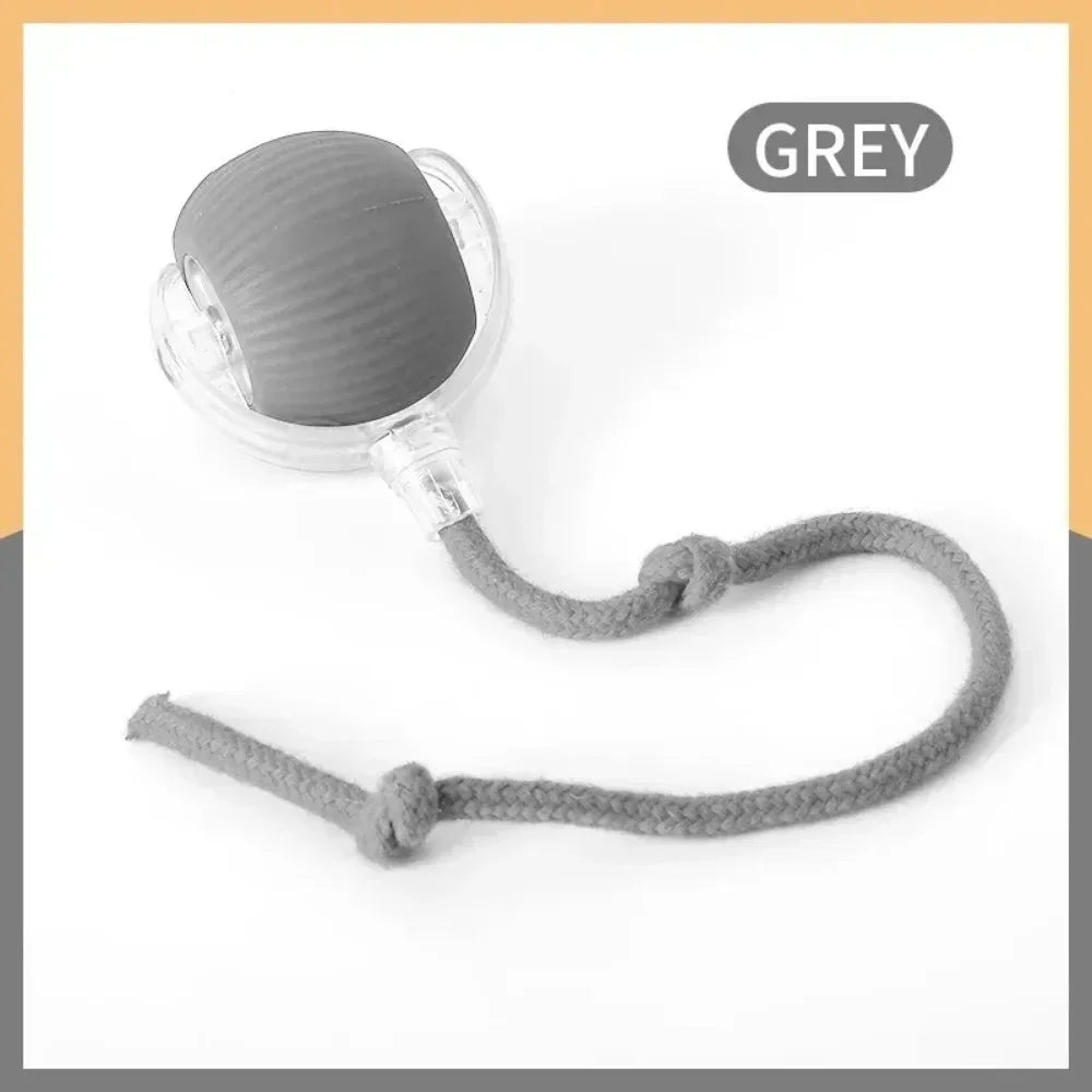 Royal Smart Rolling Cat Toy – Tail Ball & Rechargeable Fun