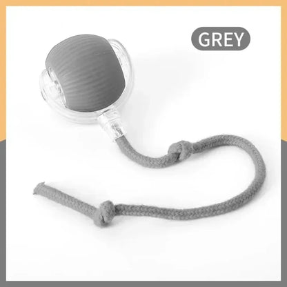 Royal Smart Rolling Cat Toy – Tail Ball & Rechargeable Fun