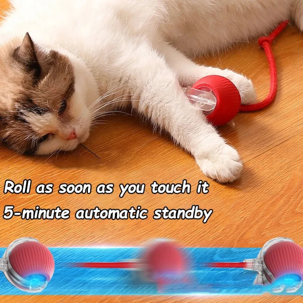 Royal Smart Rolling Cat Toy – Tail Ball & Rechargeable Fun