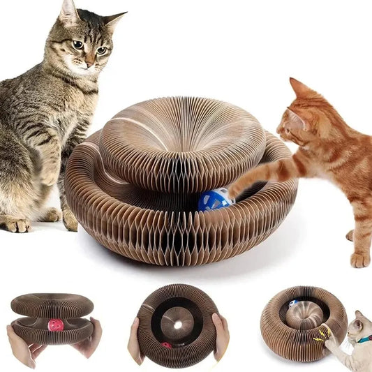 Royal Magic 3-in-1 Cat Scratcher & Toy – Scratch Board, Ball & Climbing Fun for Kittens