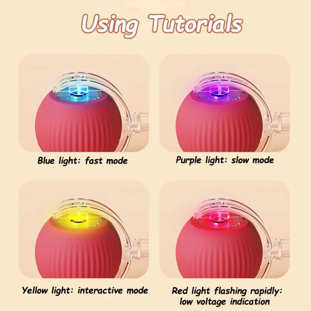 Royal Smart Rolling Cat Toy – Tail Ball & Rechargeable Fun