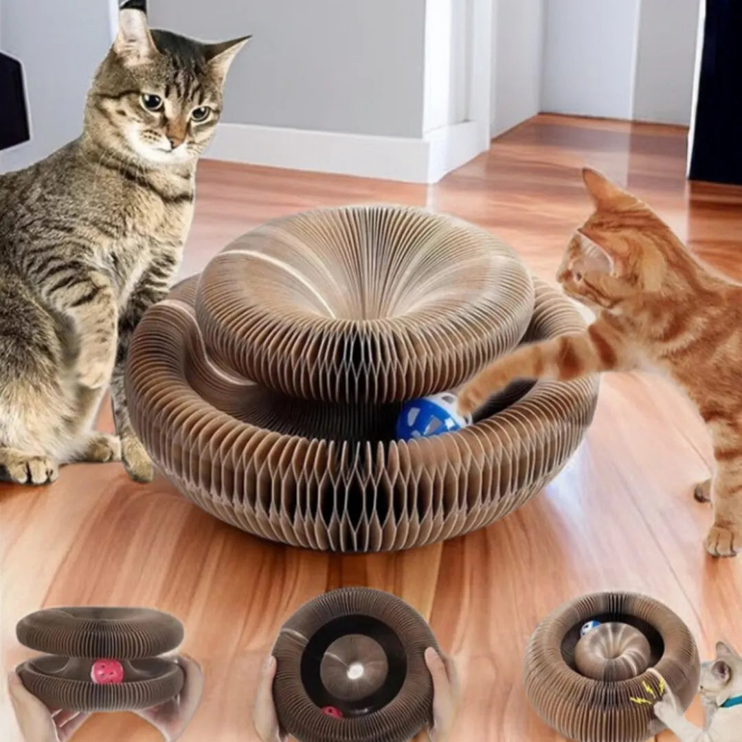 Royal Magic 3-in-1 Cat Scratcher & Toy – Scratch Board, Ball & Climbing Fun for Kittens