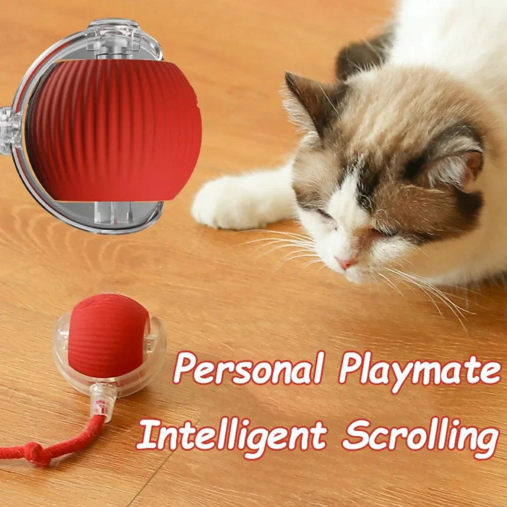 Royal Smart Rolling Cat Toy – Tail Ball & Rechargeable Fun